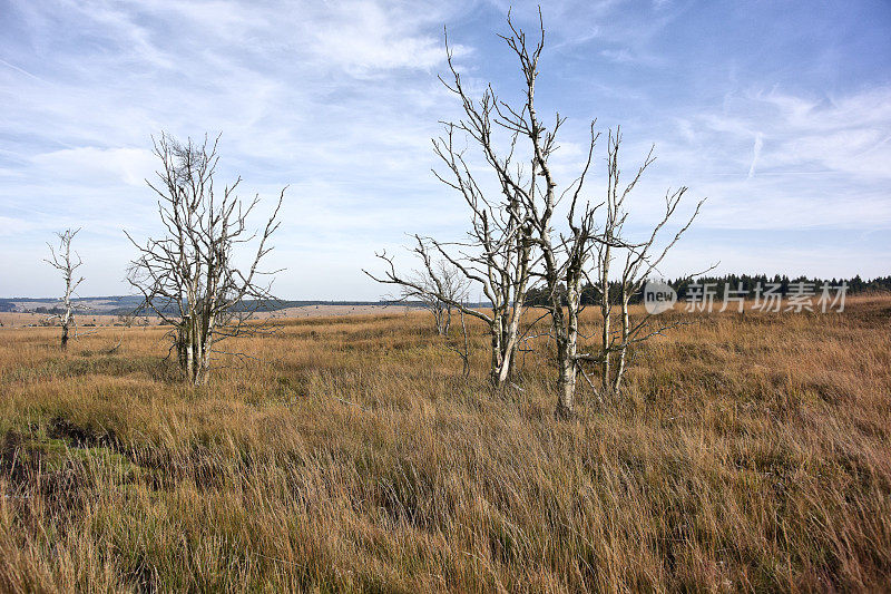 Hautes Fagnes 和 Baraque Michel